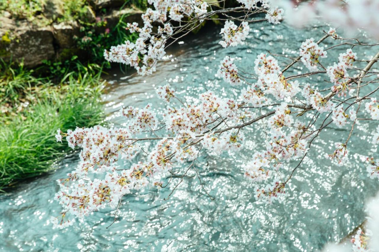 Taos 丹波の風土を感じられる一棟貸切の宿 Tamba-Sasayama ภายนอก รูปภาพ